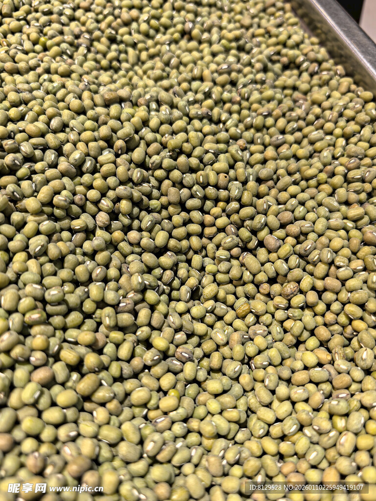 大量饱满绿豆颗粒展示