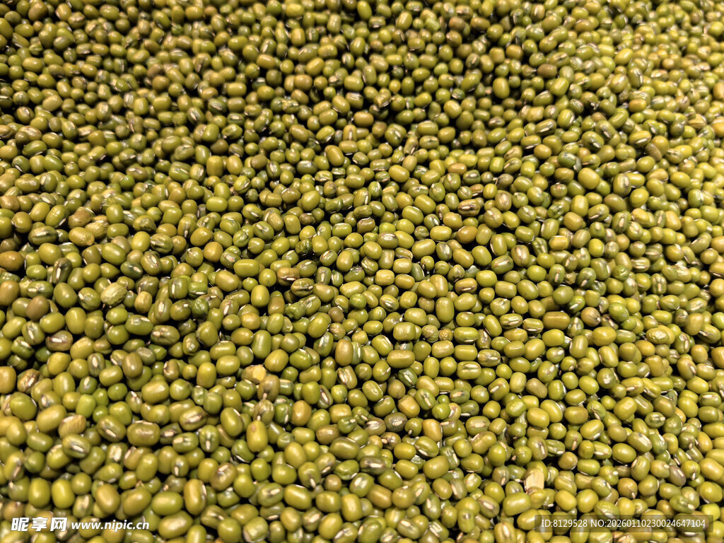 饱满绿豆特写