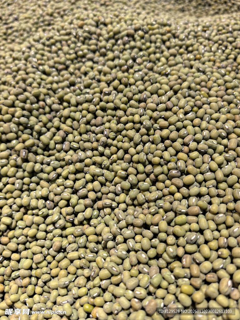饱满绿豆颗粒特写