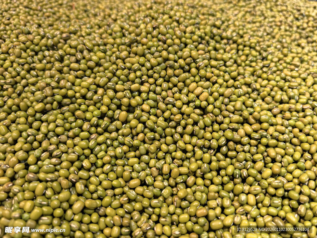 饱满绿豆颗粒展示