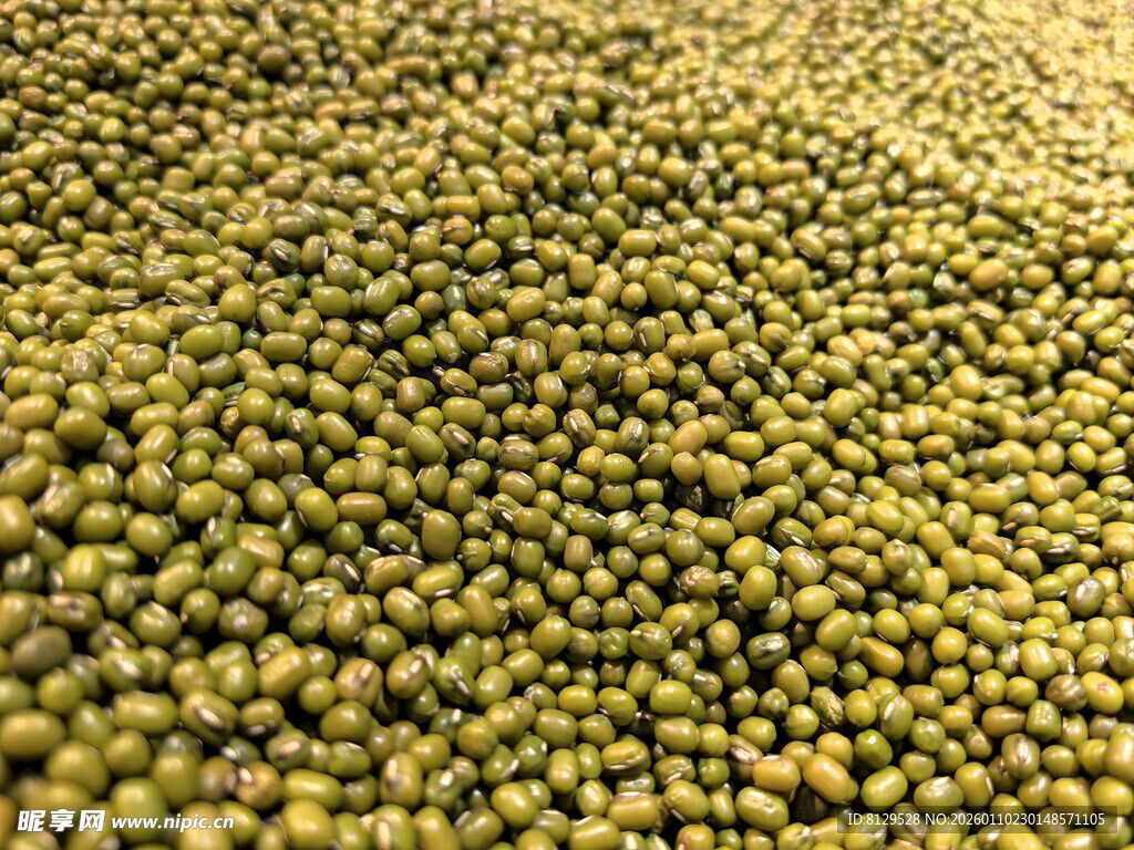 饱满绿豆颗粒特写