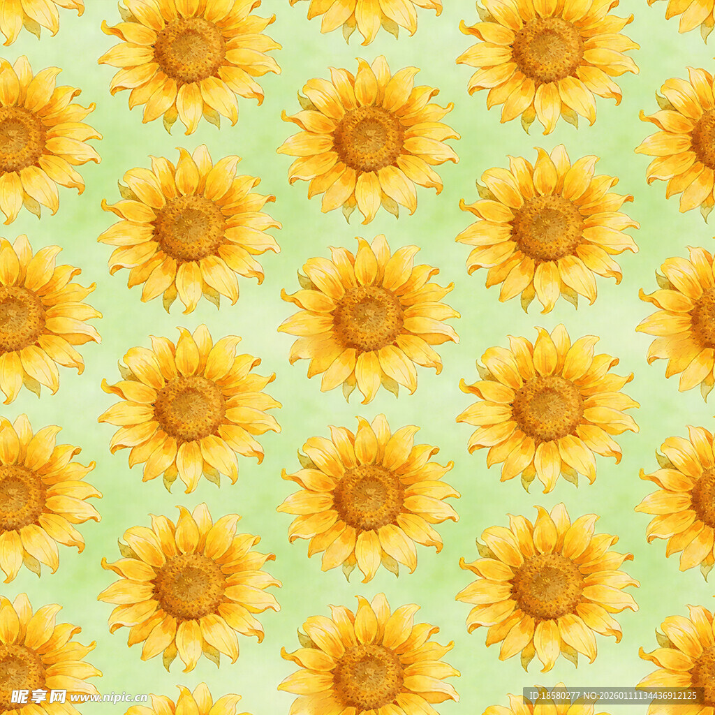 清新向日葵图案背景