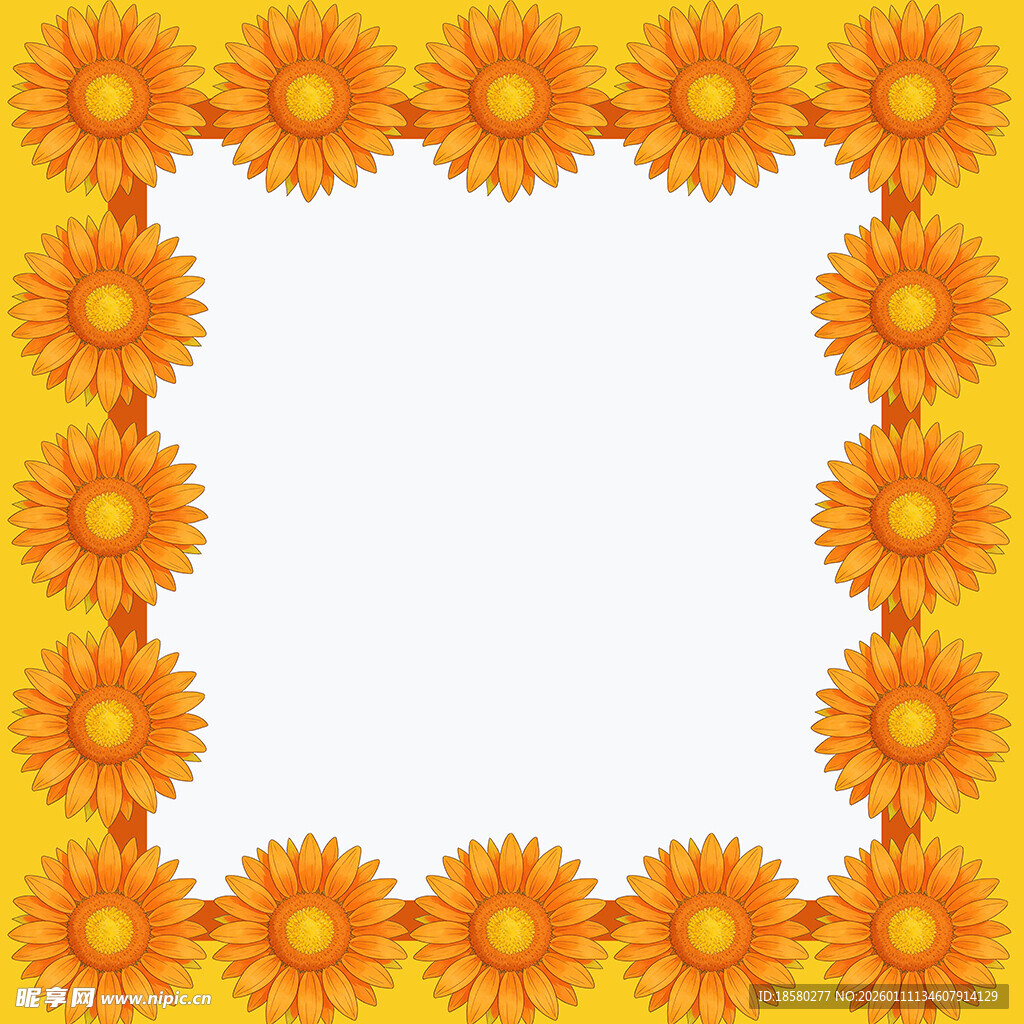 黄色菊花边框背景图