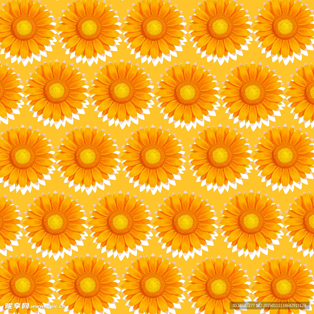 黄色菊花图案背景纹理