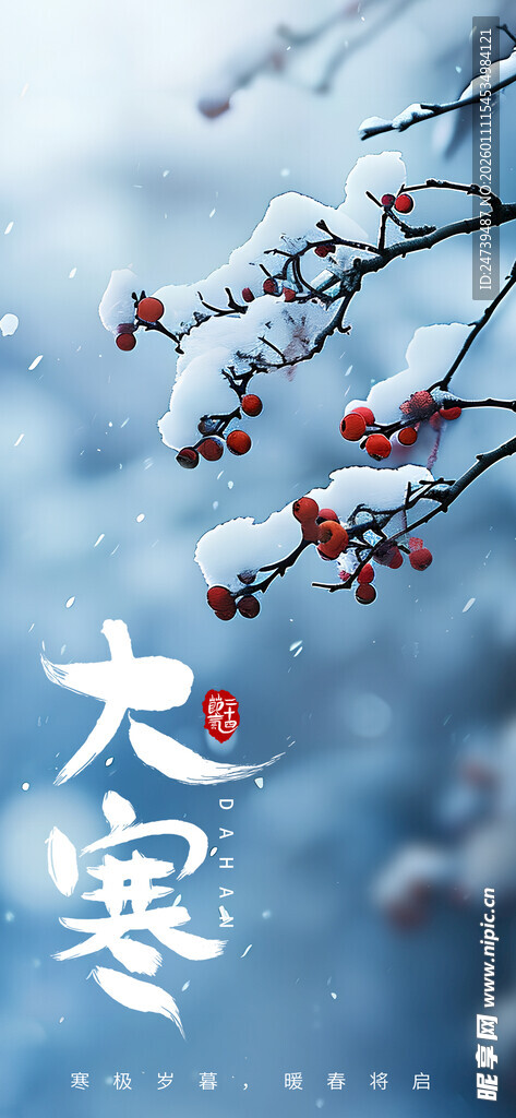 大寒海报