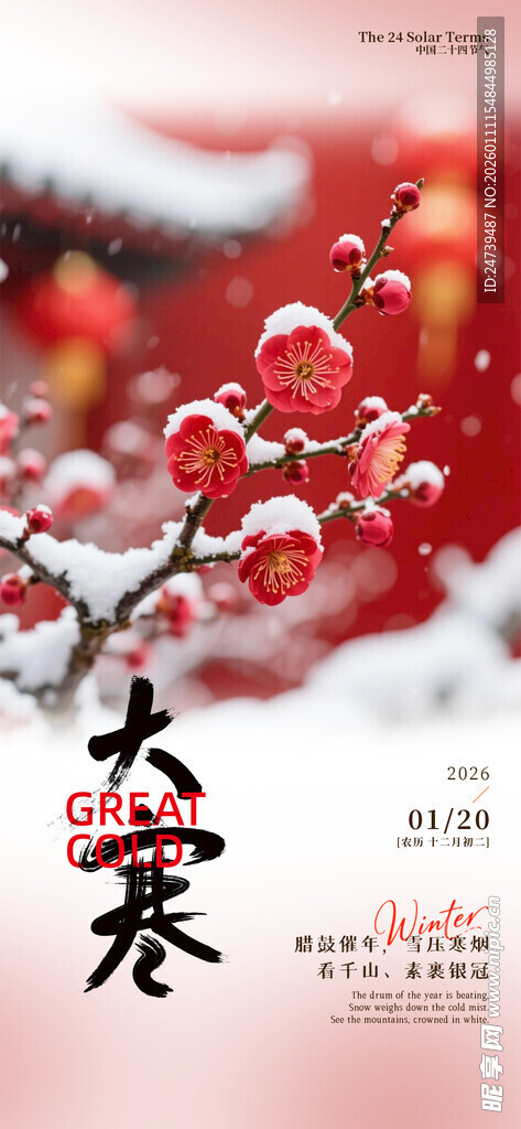 大寒海报