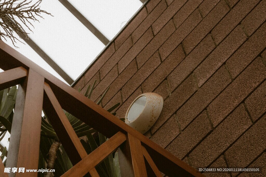 阳台角落的可爱小鸟