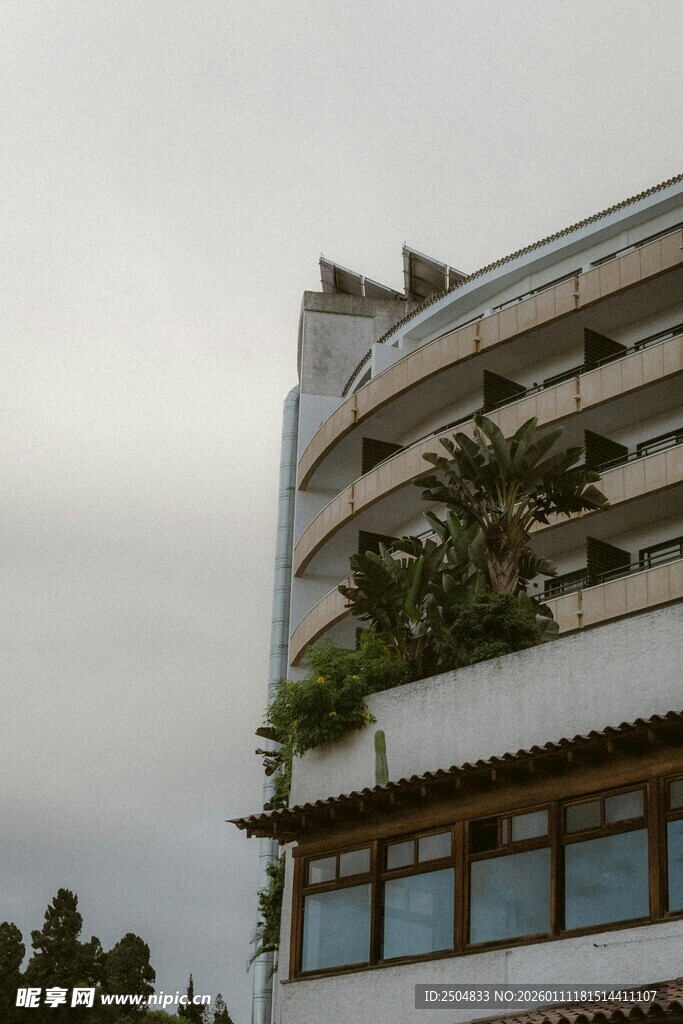 现代建筑旁的绿植景观