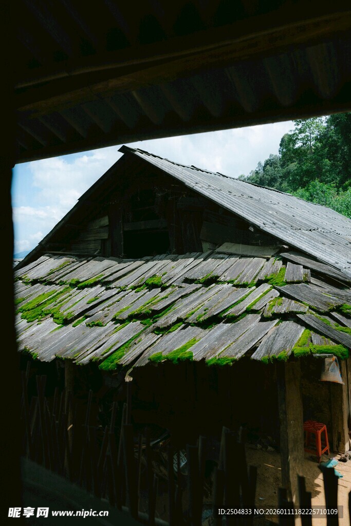 老旧屋顶覆青苔