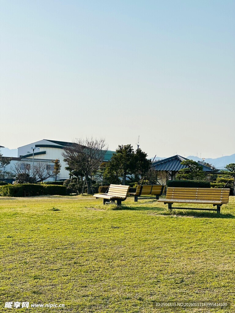 户外草坪长椅宁静景致