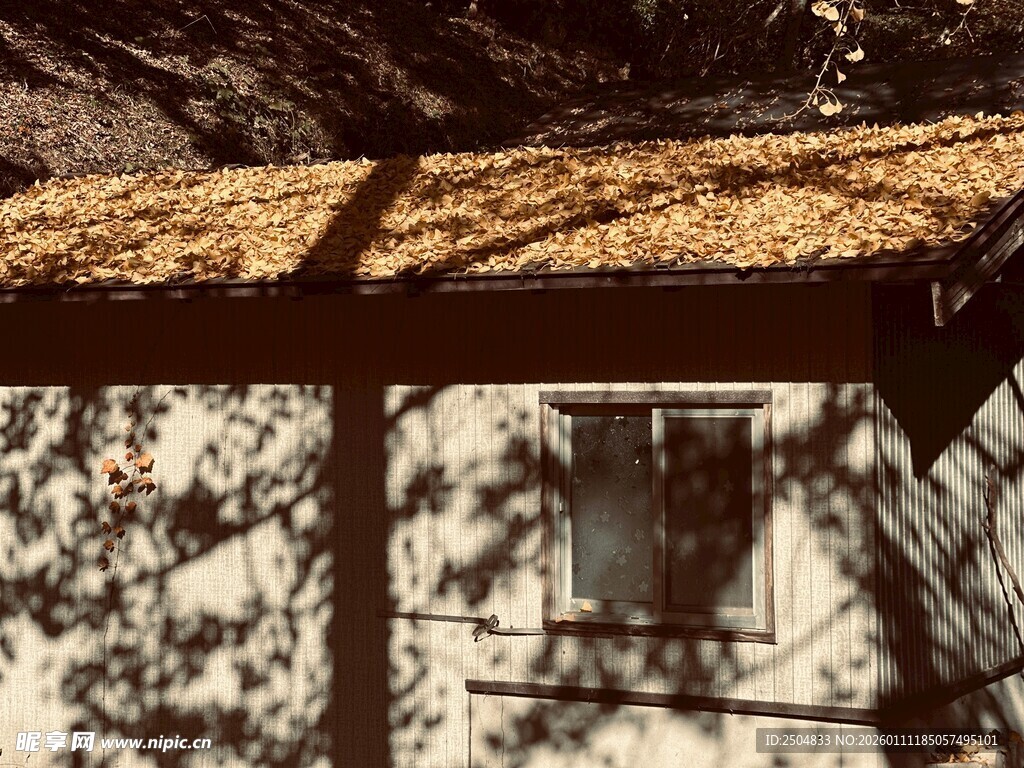 老旧房屋的斑驳墙面与窗