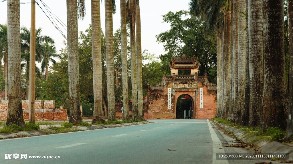 林荫道尽头的古典建筑