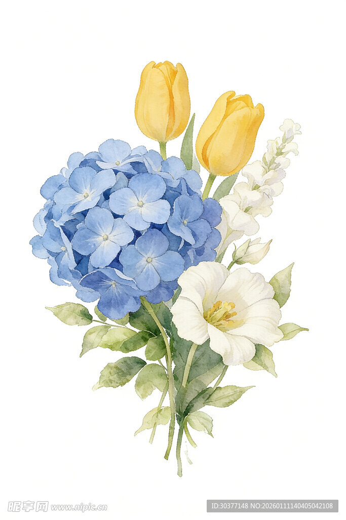 蓝黄花卉水彩插画组合