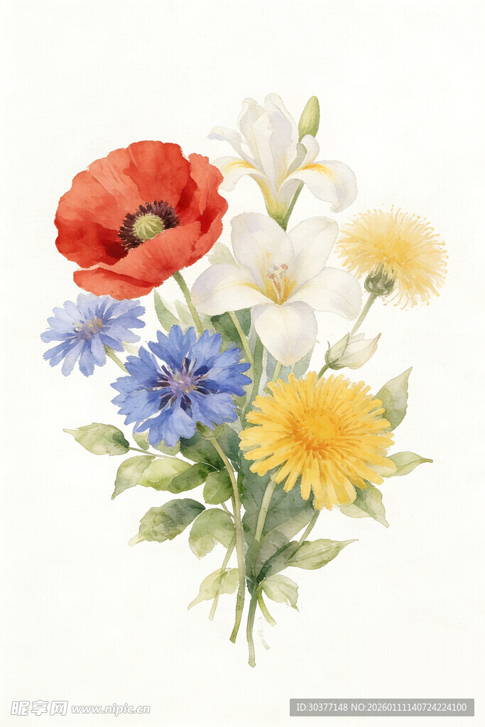 手绘多彩花卉组合