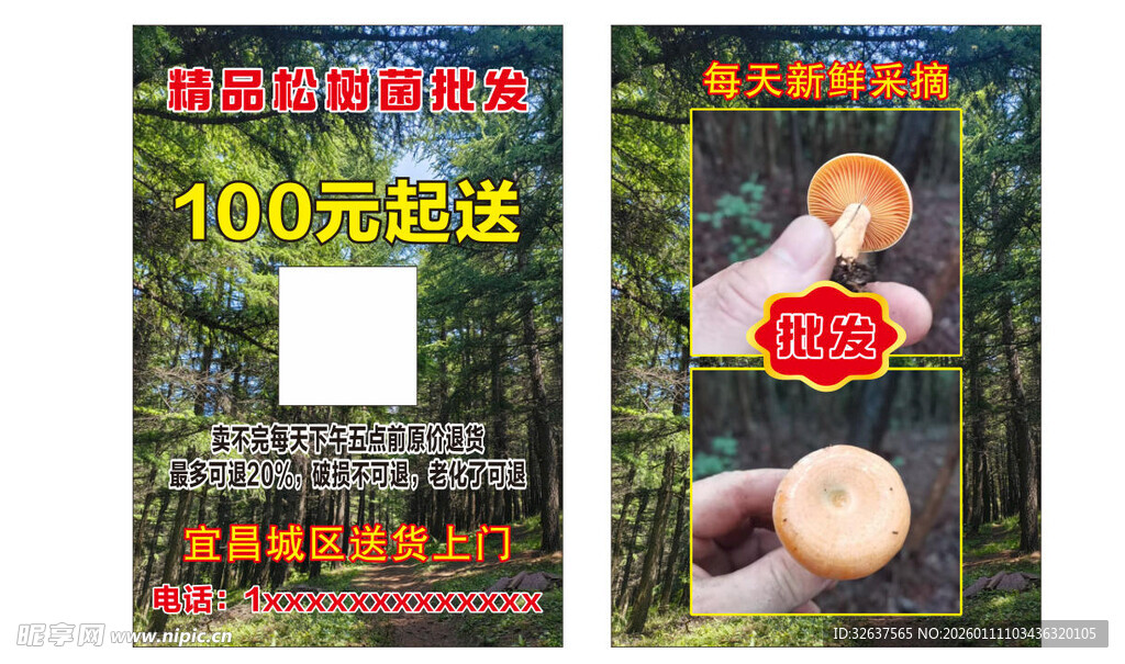 野生松蘑干货宣传页展示