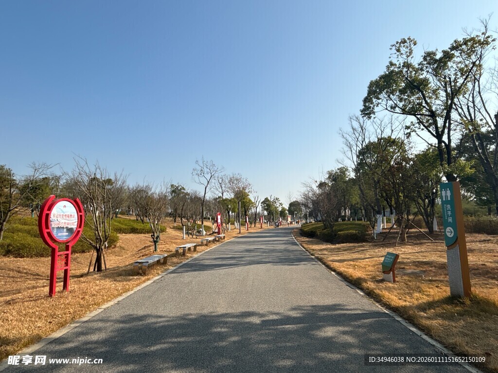 公园中的宽阔平坦步行道