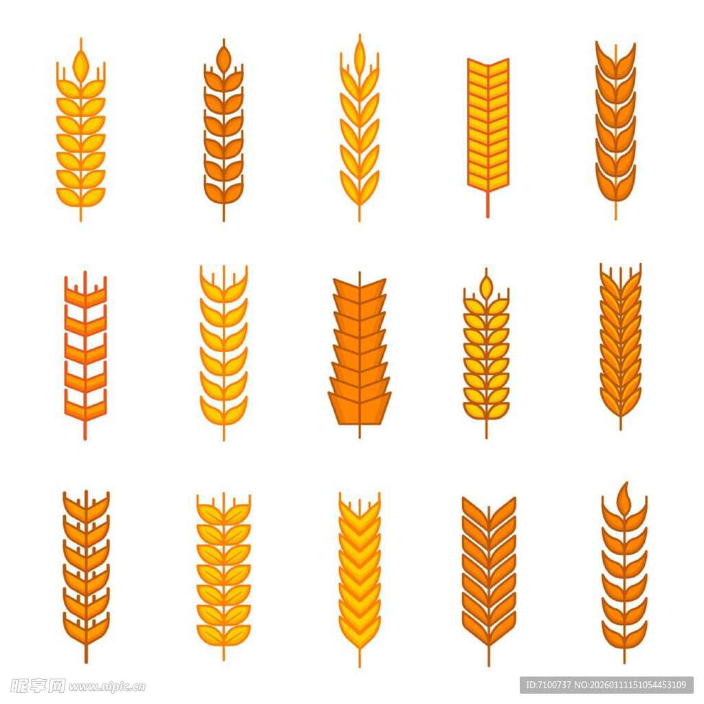 麦穗图案