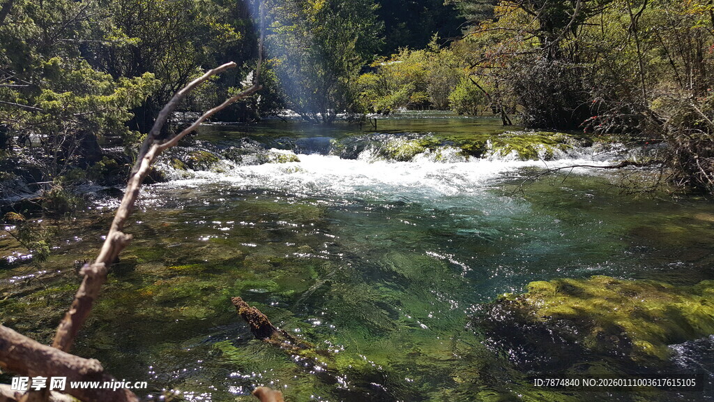 山间清澈溪流 阳光洒落