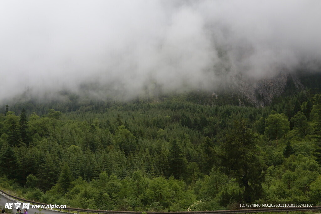 云雾缭绕的山林公路