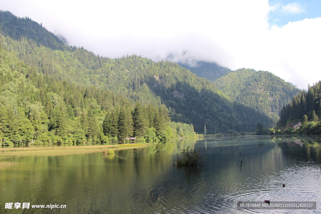 山间静谧湖景 绿意盎然