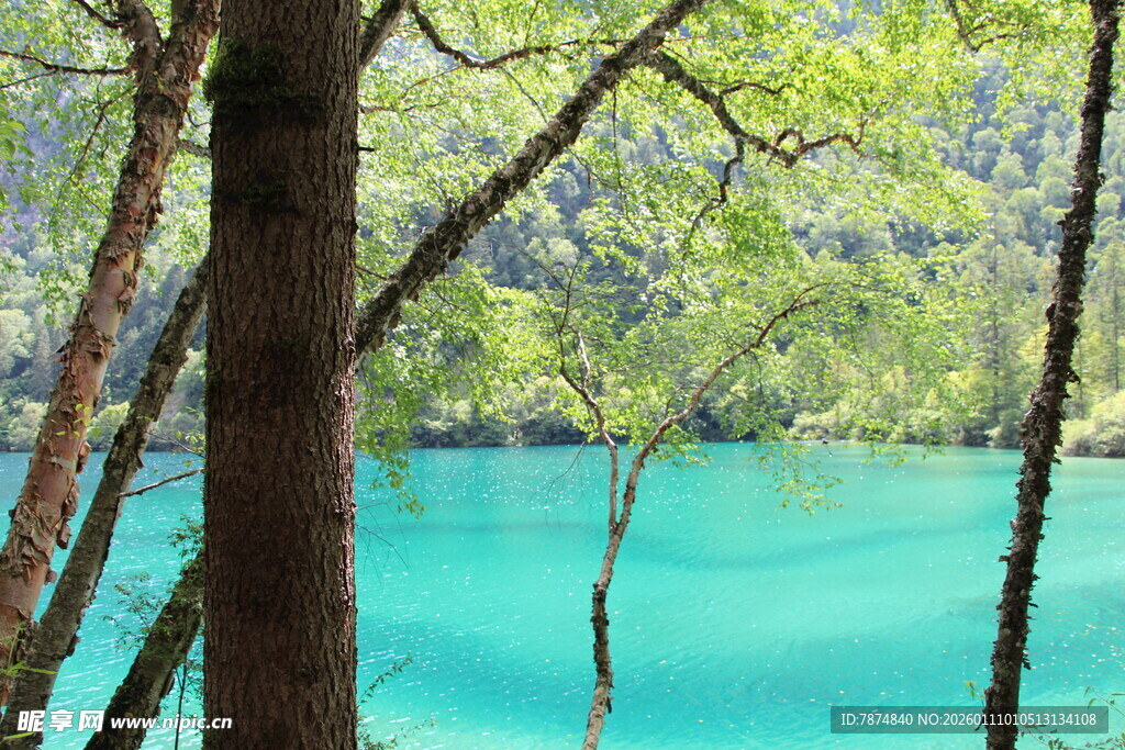 林间蓝湖美景