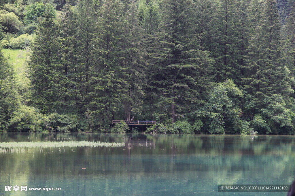 静谧山林间的清澈湖水