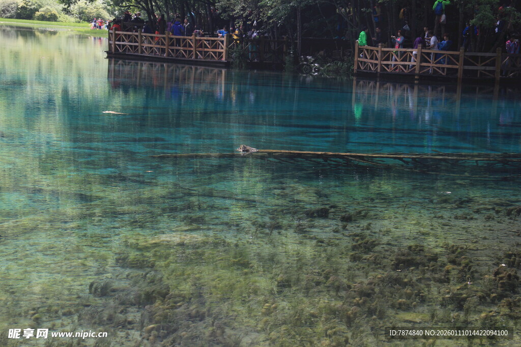 清澈见底的幽蓝水下世界