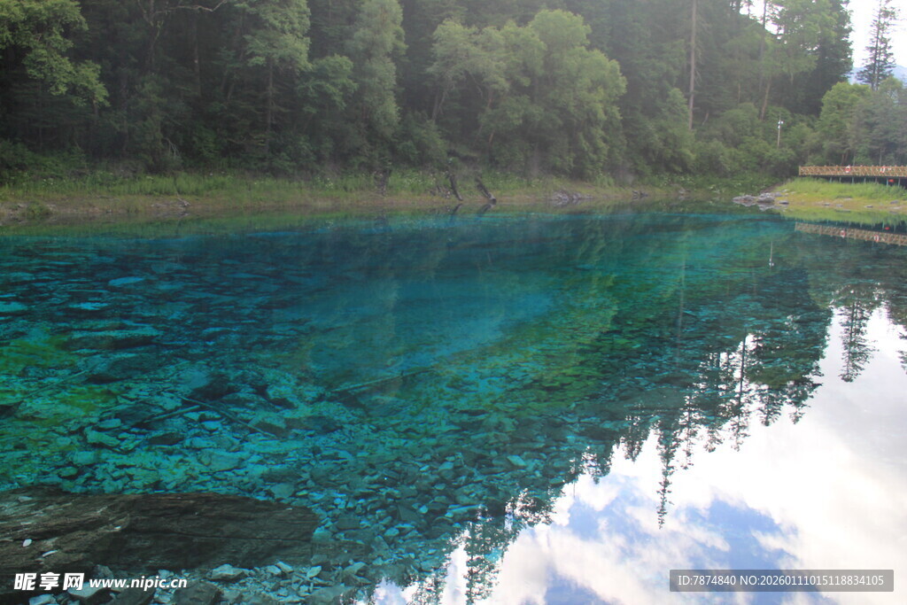 清澈蓝绿湖水与周边树林