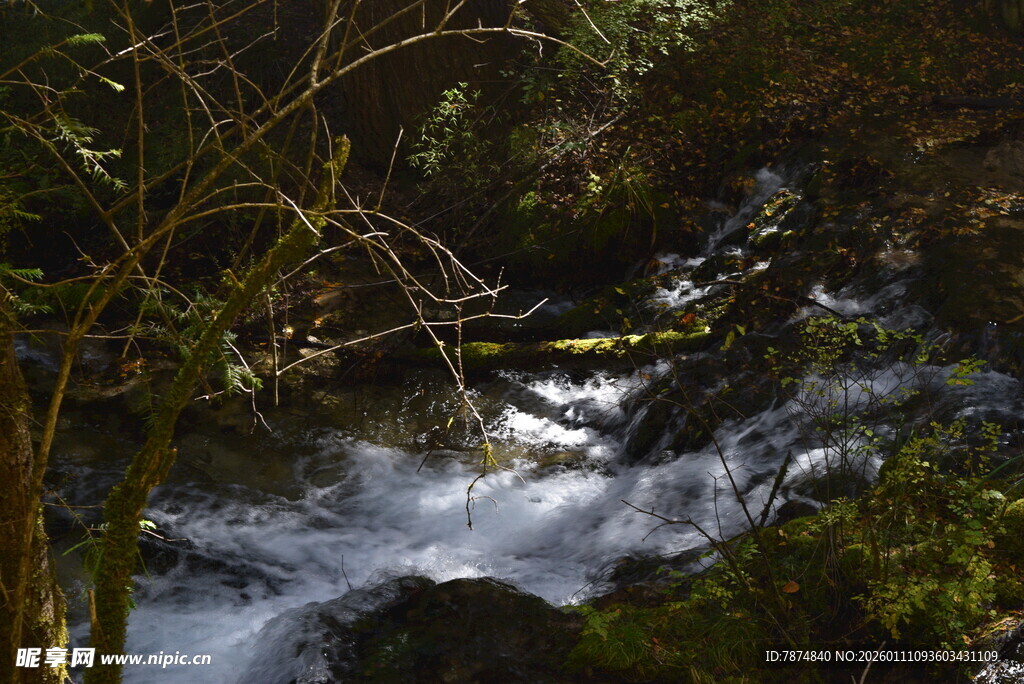 山林间的潺潺溪流