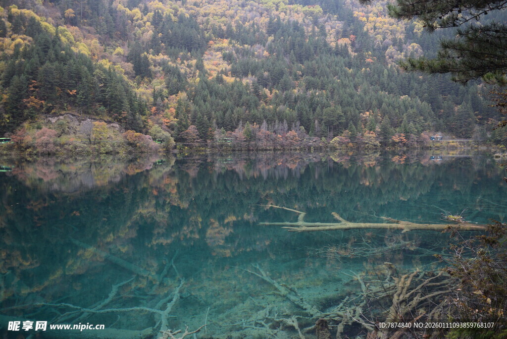 清澈山林间的静谧湖水