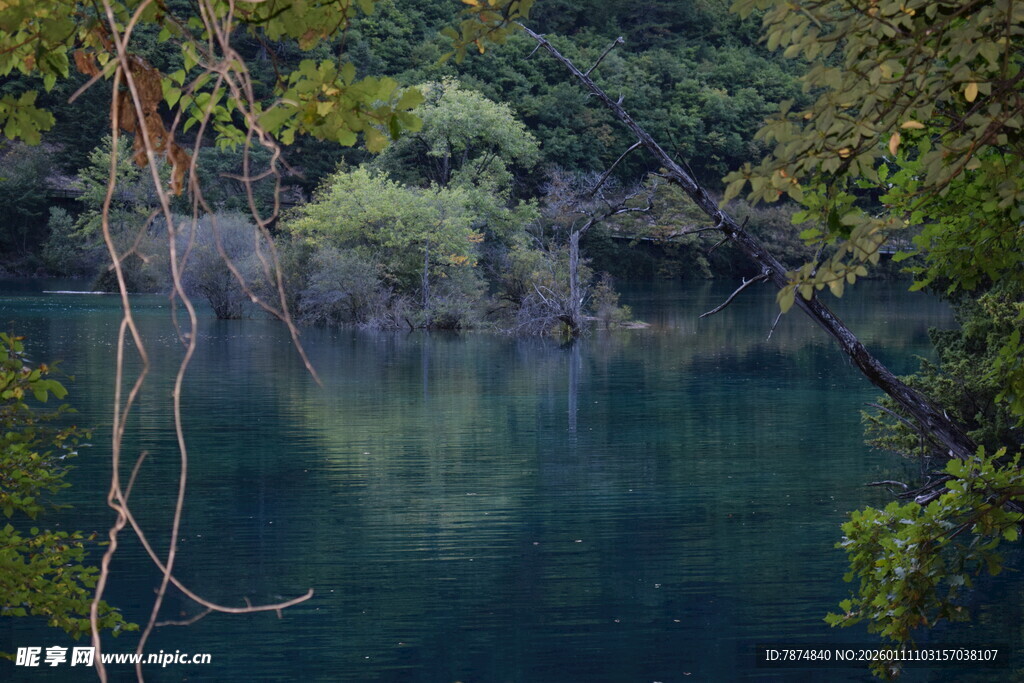 静谧山林中的幽蓝湖水