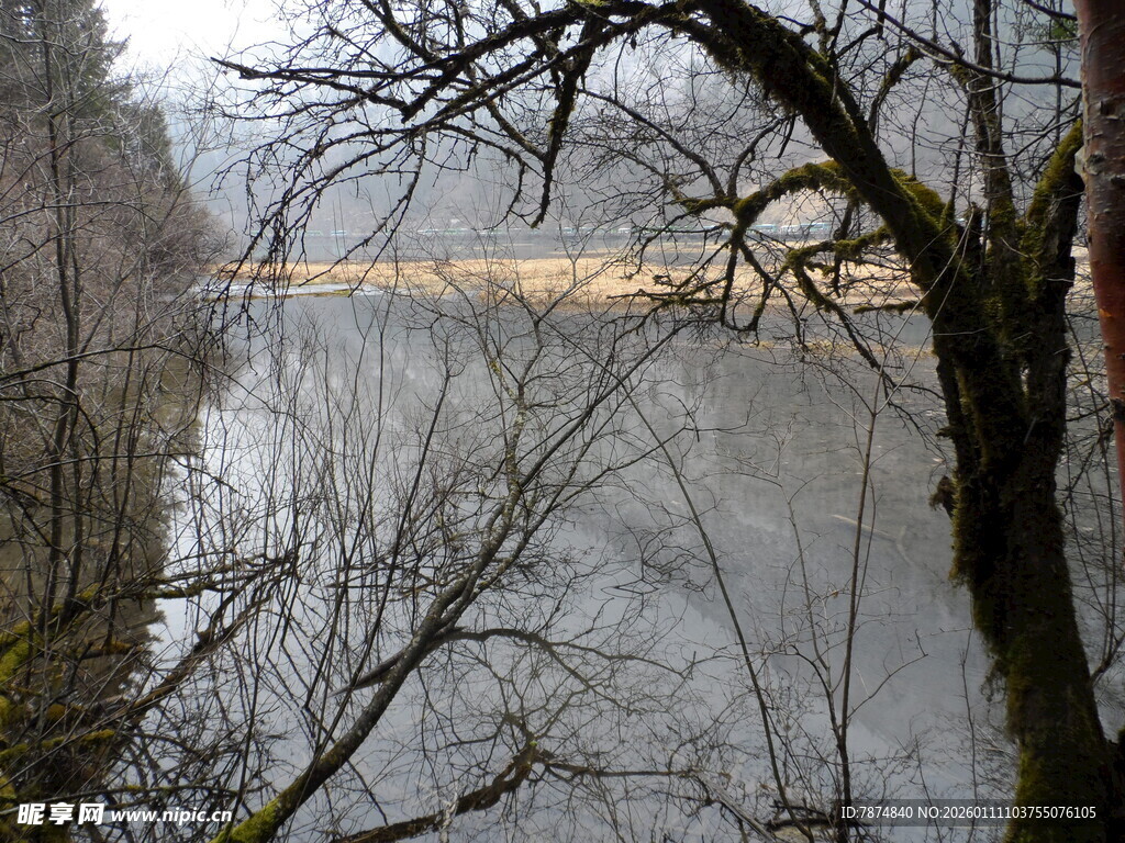林间静谧湖水风景图