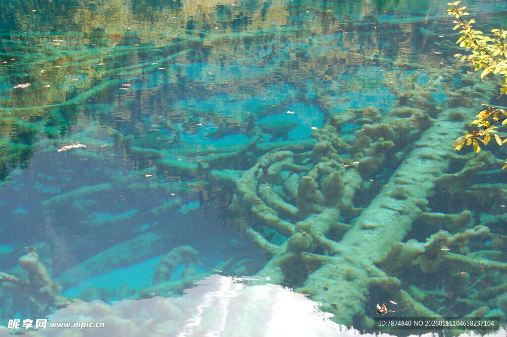 清澈水底中的神秘管道