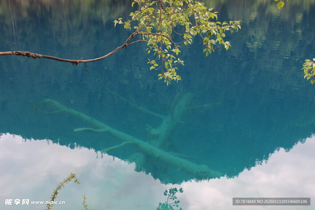 清澈湖水下的奇妙景象