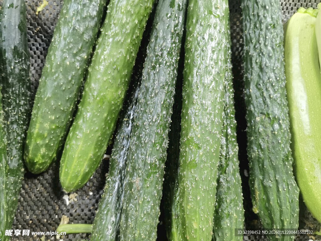新鲜翠绿的黄瓜