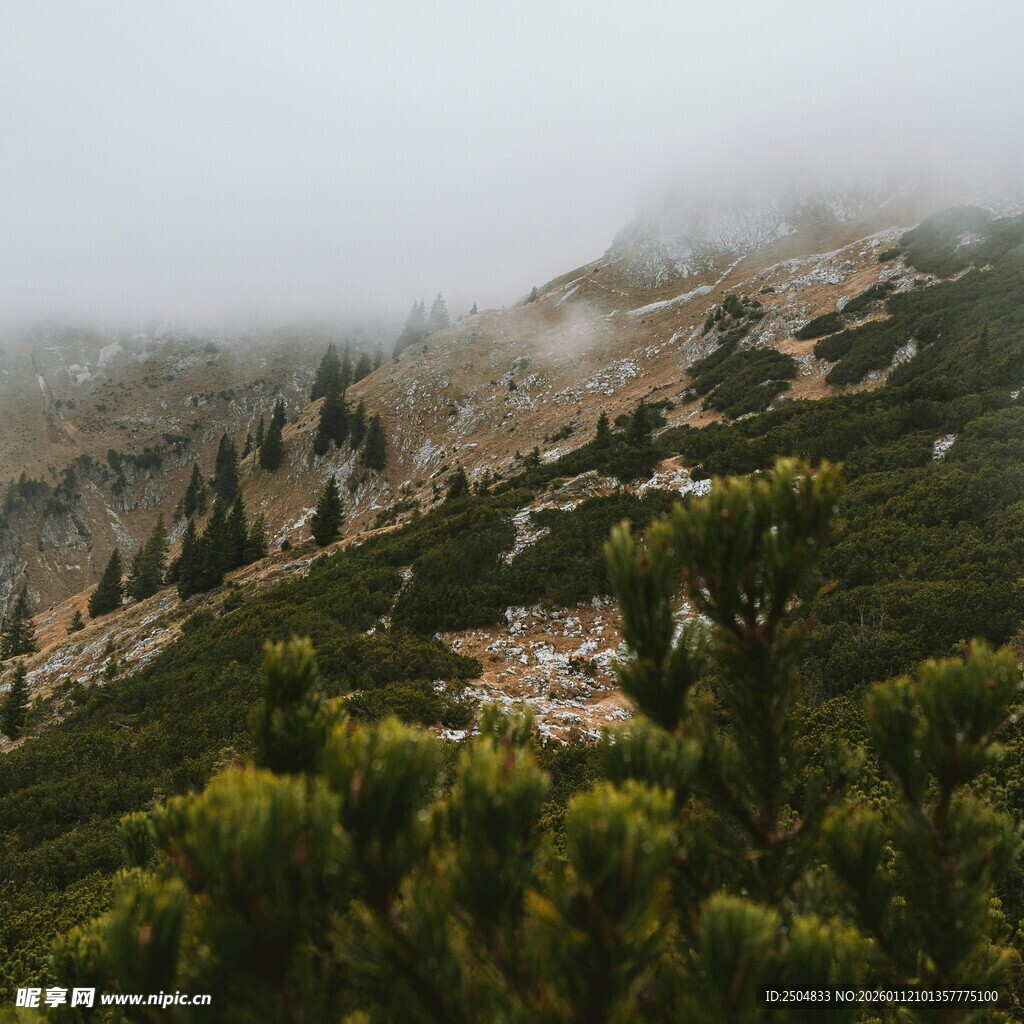 山间云雾缭绕的绿意景致