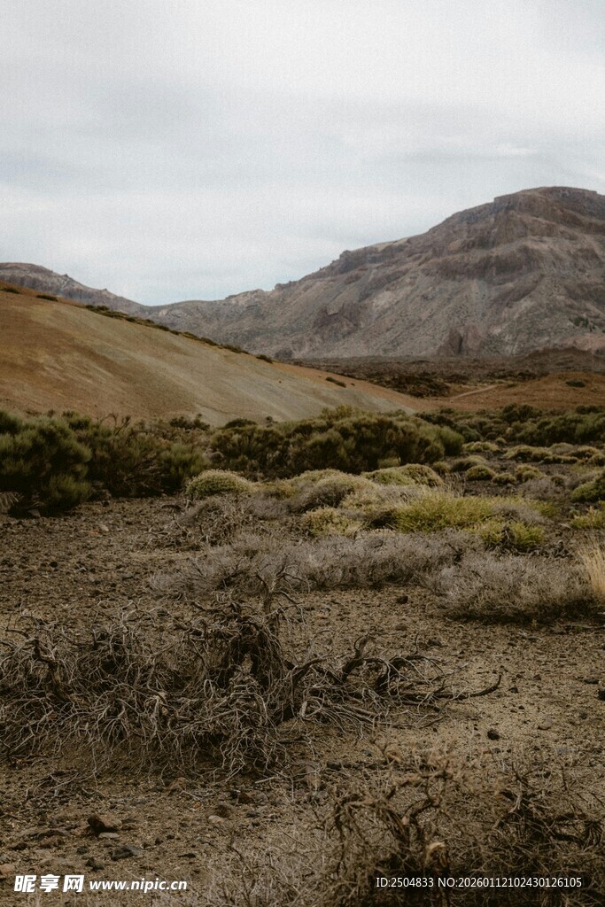 荒凉山地景观