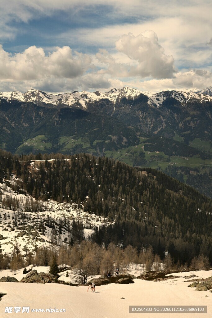 雪山下的秀丽山林风光