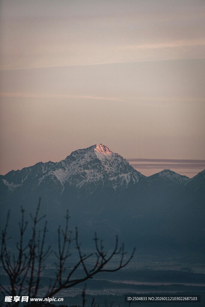 日出下的雪山与枯树景观