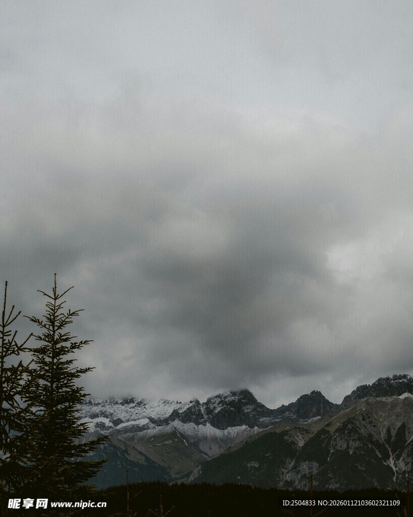 阴云下的山峦与挺拔树木