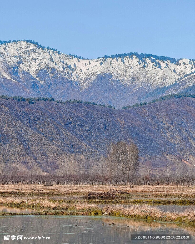 雪山下的宁静湖泊风光