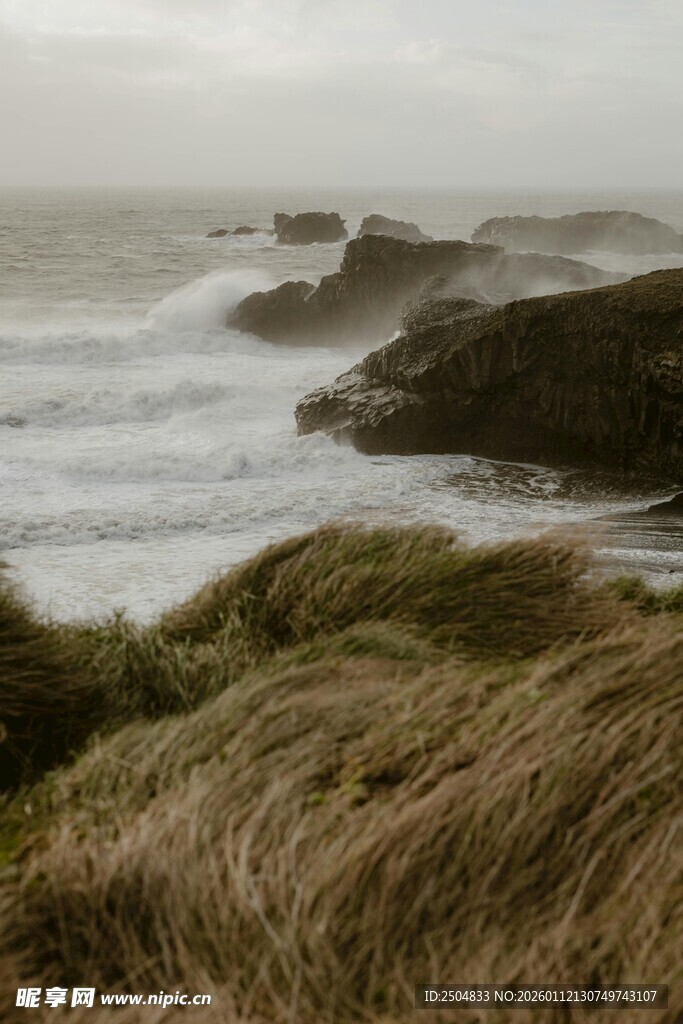 海边风浪中的草地与礁石