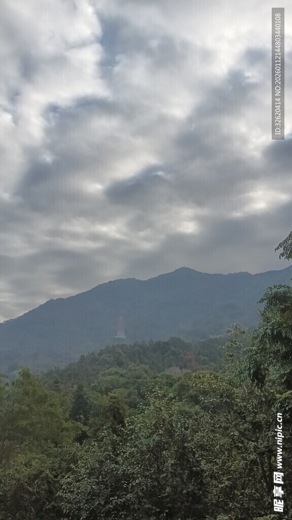 山林间的云雾缭绕美景