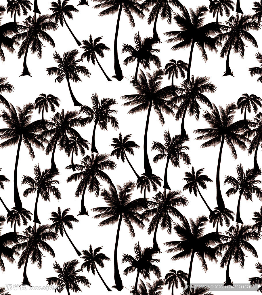 黑白棕榈树图案背景