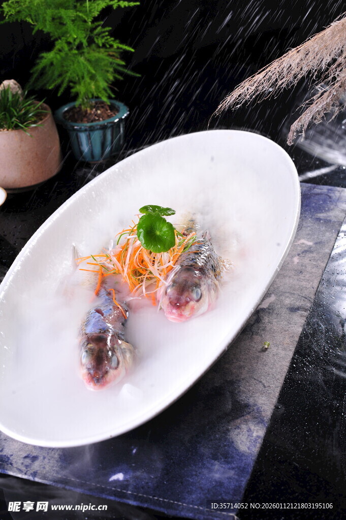 仙气飘飘的精致刺身料理