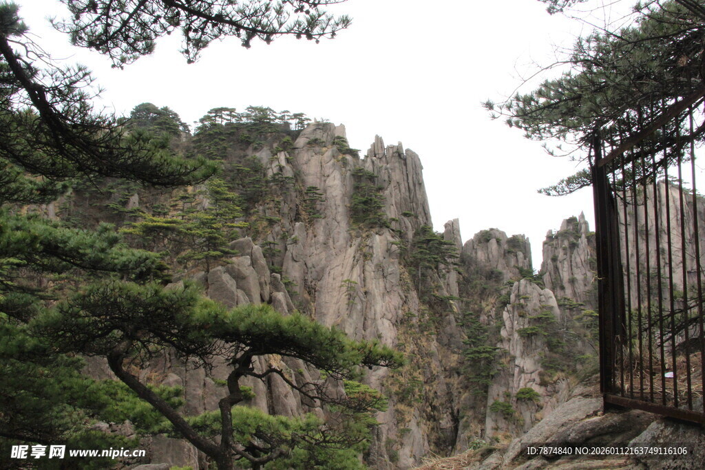 黄山奇峰与苍松景观