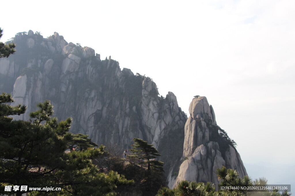 巍峨山峰与山间松树景观