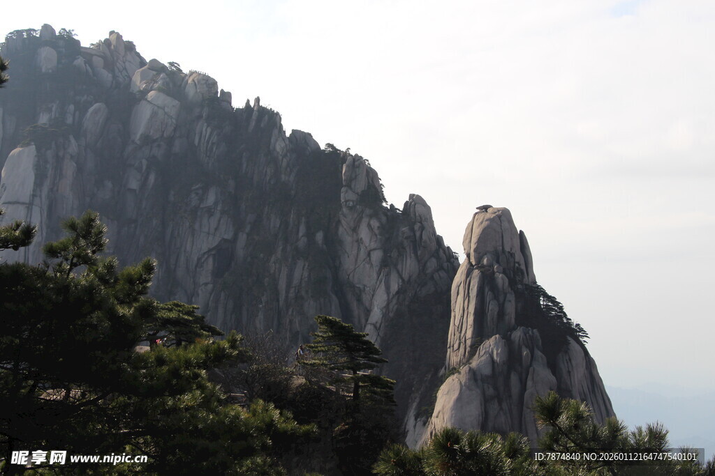 巍峨山峰与葱郁树木