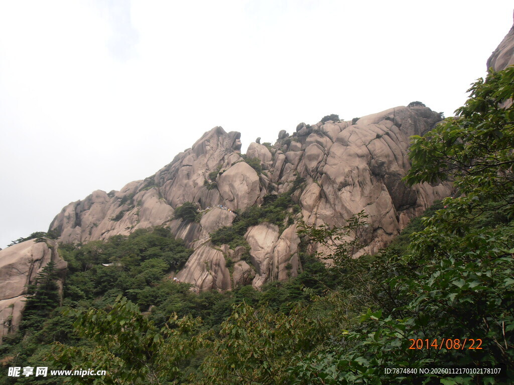 巍峨山峦覆绿植