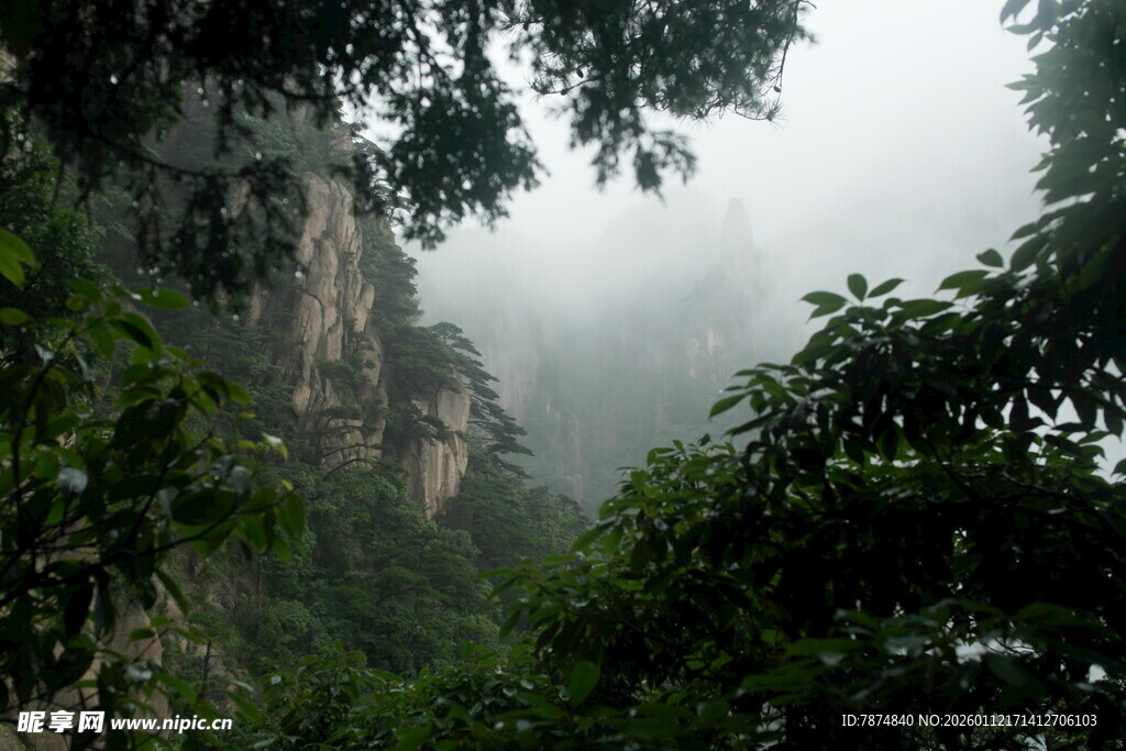 云雾缭绕的山林美景